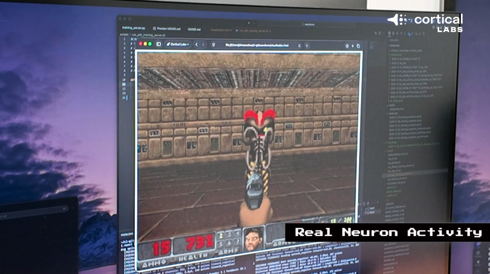 «Биологический компьютер» на основе клеток мозга научили играть в Doom - 3